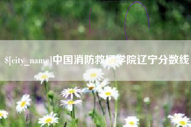 邵阳县中国消防救援学院辽宁分数线