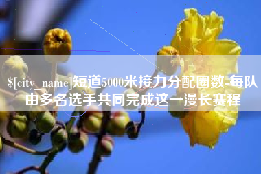 邵阳县短道5000米接力分配圈数-每队由多名选手共同完成这一漫长赛程