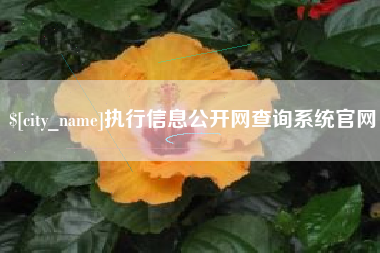 邵阳县执行信息公开网查询系统官网