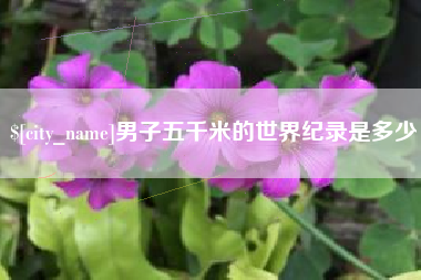 邵阳县男子五千米的世界纪录是多少