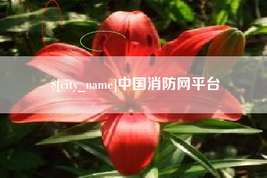 邵阳县中国消防网平台