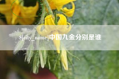 邵阳县中国九金分别是谁