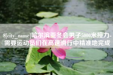 邵阳县哈尔滨亚冬会男子5000米接力-需要运动员们在高速滑行中精准地完成
