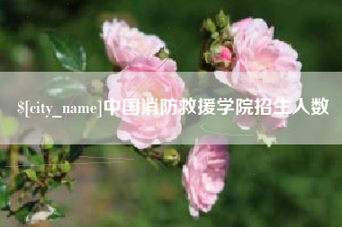 邵阳县中国消防救援学院招生人数