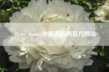 邵阳县中国消防网官方网站