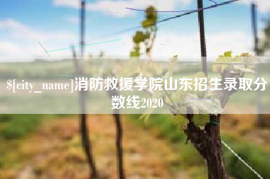 邵阳县消防救援学院山东招生录取分数线2020