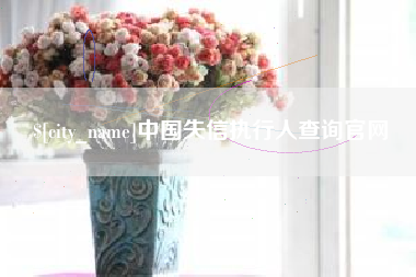 邵阳县中国失信执行人查询官网