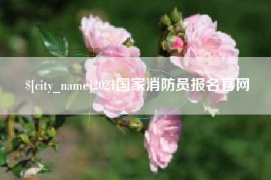 邵阳县2021国家消防员报名官网