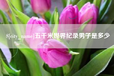邵阳县五千米世界纪录男子是多少