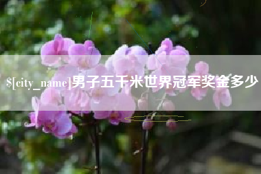 邵阳县男子五千米世界冠军奖金多少