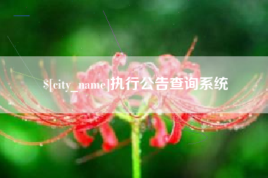 邵阳县执行公告查询系统