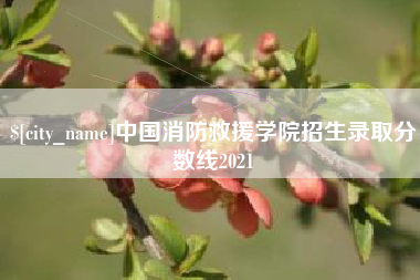 邵阳县中国消防救援学院招生录取分数线2021