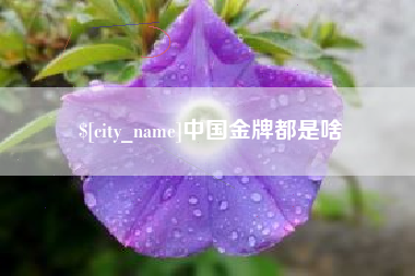 邵阳县中国金牌都是啥