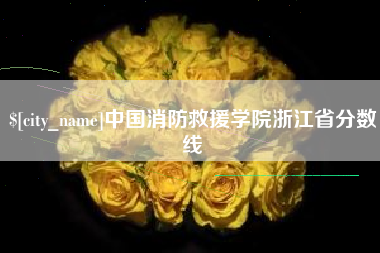 邵阳县中国消防救援学院浙江省分数线