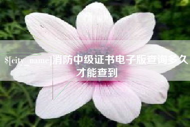 邵阳县消防中级证书电子版查询多久才能查到