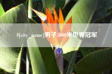 邵阳县男子5000米世界冠军