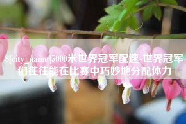 邵阳县5000米世界冠军配速-世界冠军们往往能在比赛中巧妙地分配体力