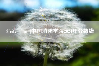 邵阳县中国消防学院2024年分数线
