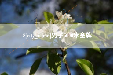 邵阳县男子5000米金牌
