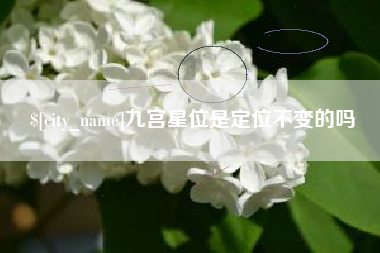 邵阳县九宫星位是定位不变的吗