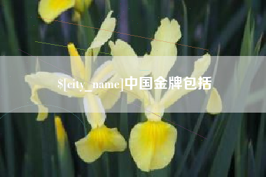 邵阳县中国金牌包括