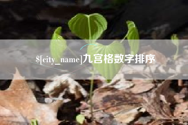 邵阳县九宫格数字排序