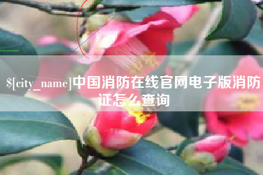 邵阳县中国消防在线官网电子版消防证怎么查询
