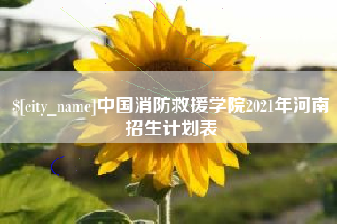 邵阳县中国消防救援学院2021年河南招生计划表