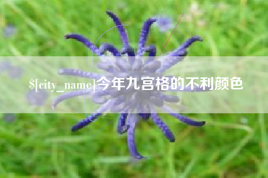 邵阳县今年九宫格的不利颜色