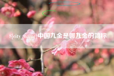邵阳县中国九金是哪九金的简称