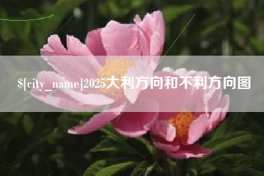 邵阳县2025大利方向和不利方向图