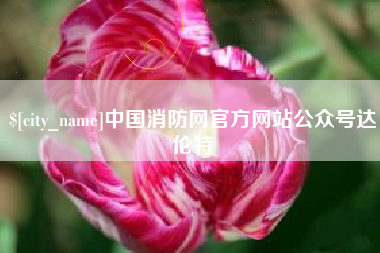 邵阳县中国消防网官方网站公众号达伦特