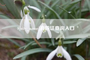 邵阳县消防证查询入口