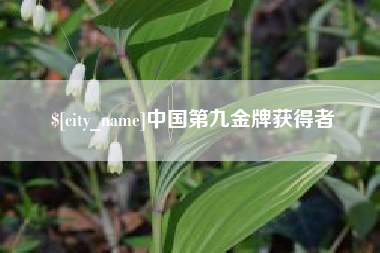 邵阳县中国第九金牌获得者