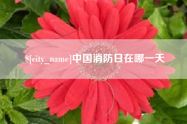 邵阳县中国消防日在哪一天