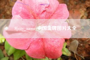 邵阳县中国金牌图片大全