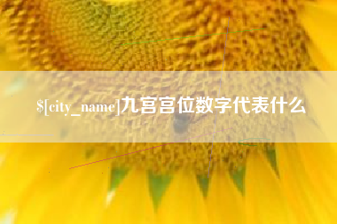 邵阳县九宫宫位数字代表什么