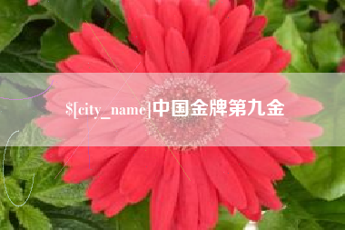 邵阳县中国金牌第九金