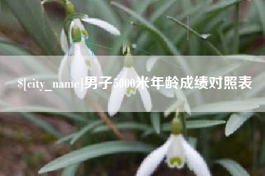 邵阳县男子5000米年龄成绩对照表