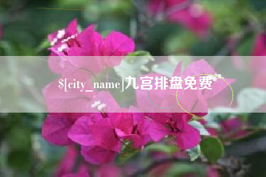 邵阳县九宫排盘免费