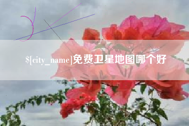 邵阳县免费卫星地图哪个好
