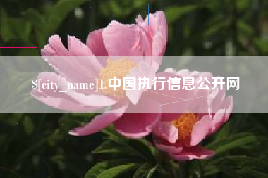 邵阳县1.中国执行信息公开网