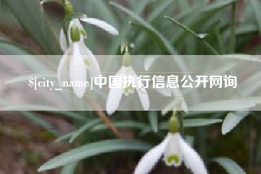 邵阳县中国执行信息公开网询