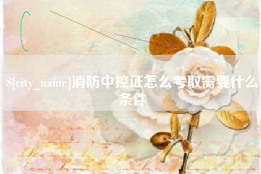 邵阳县消防中控证怎么考取需要什么条件