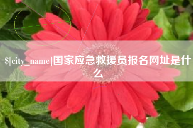 邵阳县国家应急救援员报名网址是什么