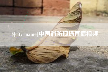 邵阳县中国消防现场直播视频