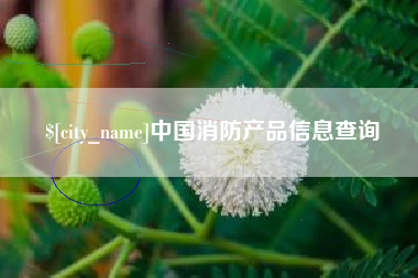 邵阳县中国消防产品信息查询