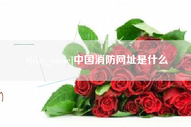 邵阳县中国消防网址是什么
