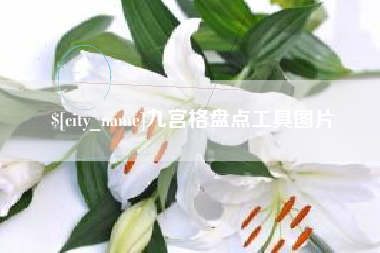 邵阳县九宫格盘点工具图片