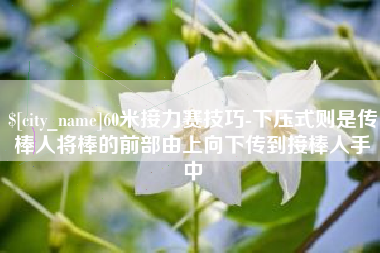 邵阳县60米接力赛技巧-下压式则是传棒人将棒的前部由上向下传到接棒人手中